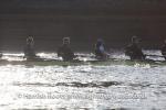 /events/cache/ulbc/ul-v-isis/hrr20130303-130_150_cw150_ch100_thumb.jpg