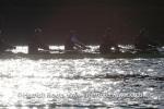 /events/cache/ulbc/ul-v-isis/hrr20130303-131_150_cw150_ch100_thumb.jpg